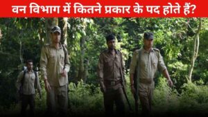 Van Vibhag Me Kitne Prakar Ke Pad Hote Hain Van Vibhag Me Kitne Prakar Ke Pad Hote Hain