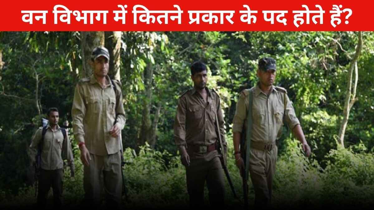 Van Vibhag Me Kitne Prakar Ke Pad Hote Hain