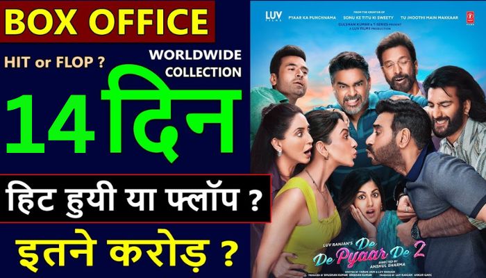 De De Pyaar De 2 Box Office Collection Day 14